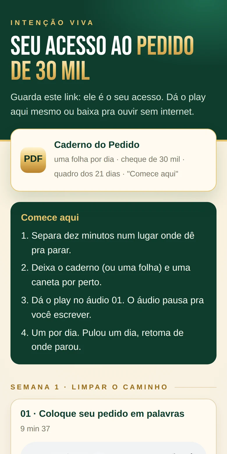 Tela do celular com os 21 áudios numerados e o caderno